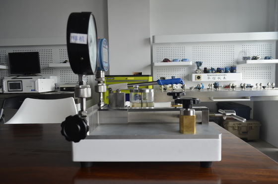OEM Customized Support 1600bar Hydraulic High Pressure Calibration Pump